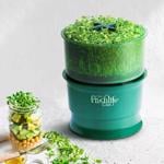 Erkek genel Freshlife  Otomatik Sulamalı Filizlendirici
