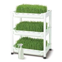 Erkek genel Sproutman's Topraksız Buğday Çimi Yetiştiricisi (3