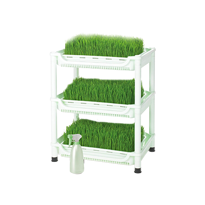 Erkek genel Sproutman's Topraksız Buğday Çimi Yetiştiricisi (3