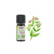 genel Karanfil Tohumu (Eugenia caryophyllus)-10 ml