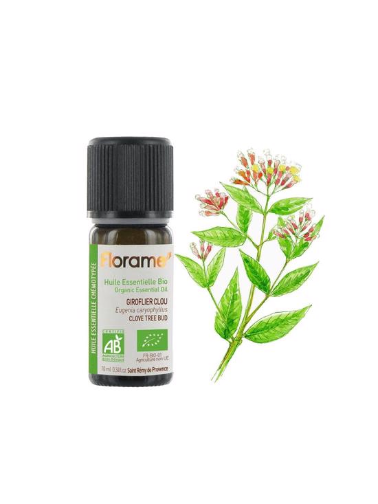Erkek genel Karanfil Tohumu (Eugenia caryophyllus)-10 ml