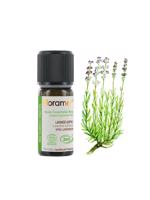 Men genel Lavanta Aspik (Lavandula latifolia) -10 ml
