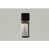 Erkek genel Servi Kozalağı (Cupressus sempervirens)-10 ml