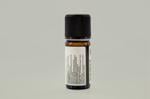 Erkek genel Servi Kozalağı (Cupressus sempervirens)-10 ml