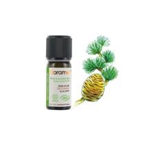 Sedir  (Cedrus atlantica)-10 ml 