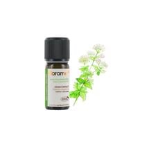  Origanum (Origanum compactum)-5ml 