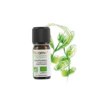  Okaliptus Radiata (Eucalyptus radiata)-10 ml 