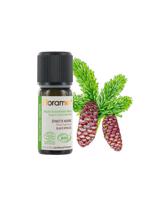 Men genel Kara ladin (Picea mariana) - 5 ml