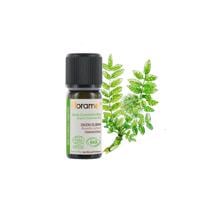  Frankincense -Günlük (Boswellia carterii) -5 ml 