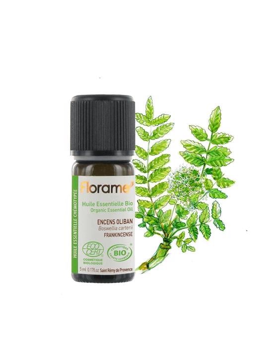 Erkek genel Frankincense -Günlük (Boswellia carterii) -5 ml