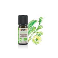 Limon Okaliptus (Eucalyuptus citridora) - 10 ml 
