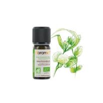  Okaliptus (Eucalyptus globulus)-10 ml 