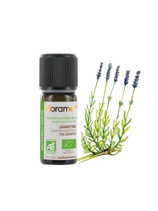 Erkek genel Tıbbi Lavanta (Lavandula angustifolia)-10 ml