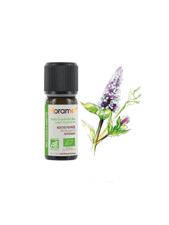Erkek genel Nane Yaprağı (Mentha piperita)-10 ml