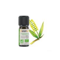  Niaouli (Melaleuca viridiflora)-10 ml 