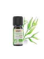 Men genel Çay Ağacı (Melaleuca alternifolia)-10 ml