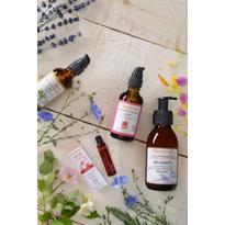 Erkek genel Aynısafa (Calendula) Maserasyonu- 50 ml