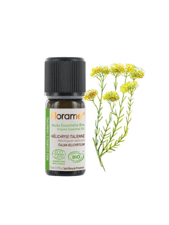Men genel Ölmezçiçek - Helikrizum (Helichrysum italicum)-5 m