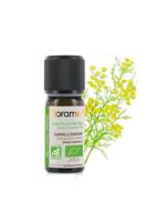 Men genel Mavi Papatya(Tanacetum annuum)-2 ml