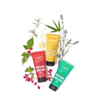 Erkek genel Güçlendirici Şampuan 200 ml