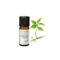 genel Wintergreen (Gaultheria procumbens)-10 ml 