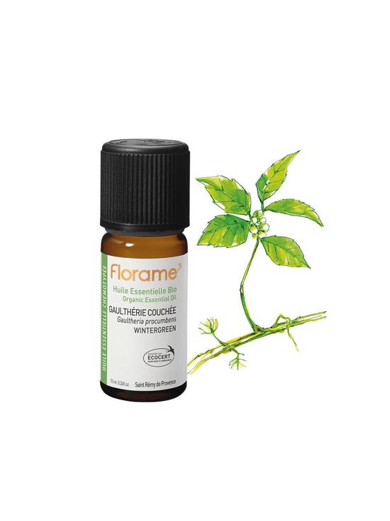 Men genel Wintergreen (Gaultheria procumbens)-10 ml