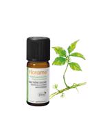 Men genel Wintergreen (Gaultheria procumbens)-10 ml