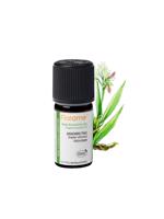 Men genel Zencefil (Zingiber officinalis) -5 ml
