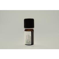 Erkek genel Zerdeçal (Curcuma longa) - 5 ml