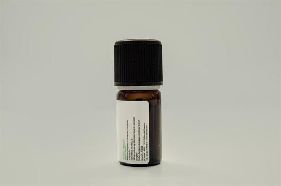Men genel Zerdeçal (Curcuma longa) - 5 ml