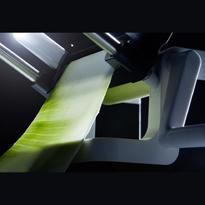 Erkek genel Yaprak Sebze Doğrayıcısı Catto