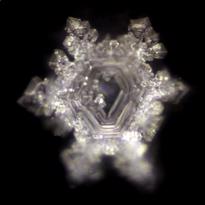 Erkek genel Beauty Su Canlandırıcı Karaf 5 lt.