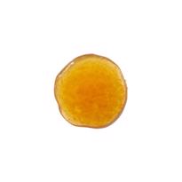 Erkek genel Antioxidant Hand and Body Wash