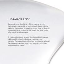 Erkek genel Rose Facial Spritz