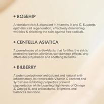 Erkek genel Rose Rejuvenating Face Cream