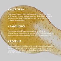 Erkek genel Rose Facial Cleansing Gel