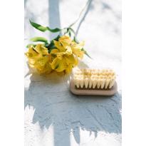 Erkek genel Tırnak Bakım Fırçası