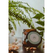 Erkek genel From Earth Jasmine