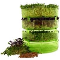 Erkek genel GEO Filizlendirme Rafları (3'lü)