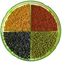 Erkek genel GEO Filizlendirme Rafları (3'lü)