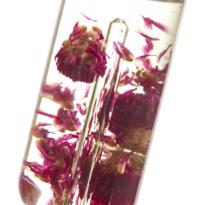 Erkek genel Tropical Coco Multi - Use Dry Oil