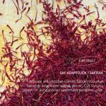 Erkek genel Saffron Brightening Eye Cream-Aydınlatıcı Göz Krem