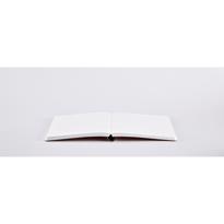 Erkek genel Shiny Starlet S - COSMO ROSE