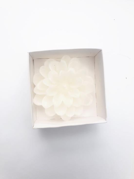 Erkek genel Lotus Çiçeği Mum-Niyetli