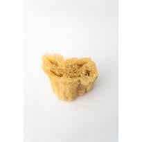 genel Doğal Sünger