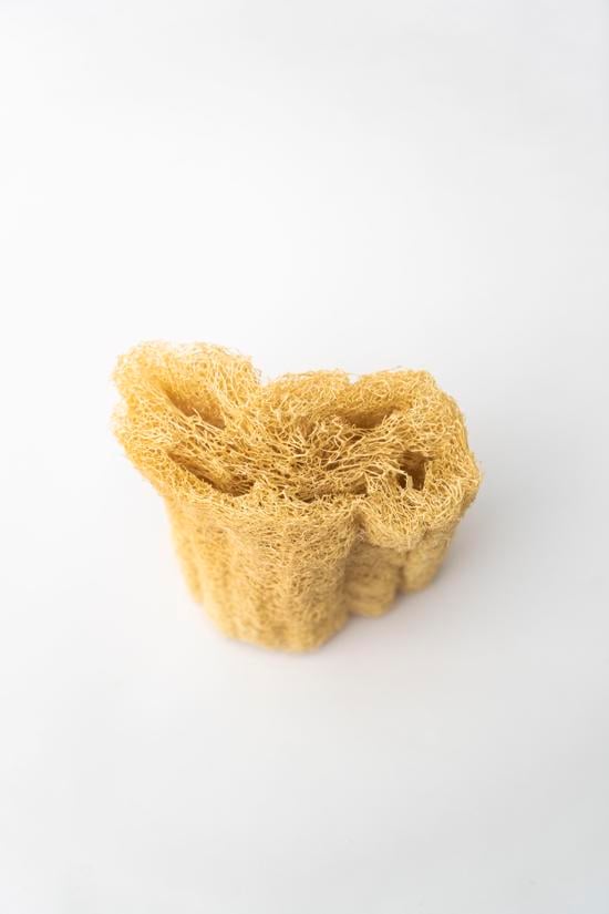 Erkek genel Doğal Sünger