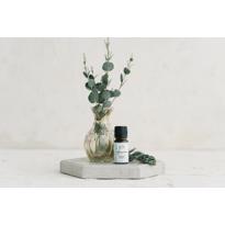 Erkek genel Okaliptus Uçucu Yağı