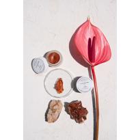 Erkek genel Lip Balm