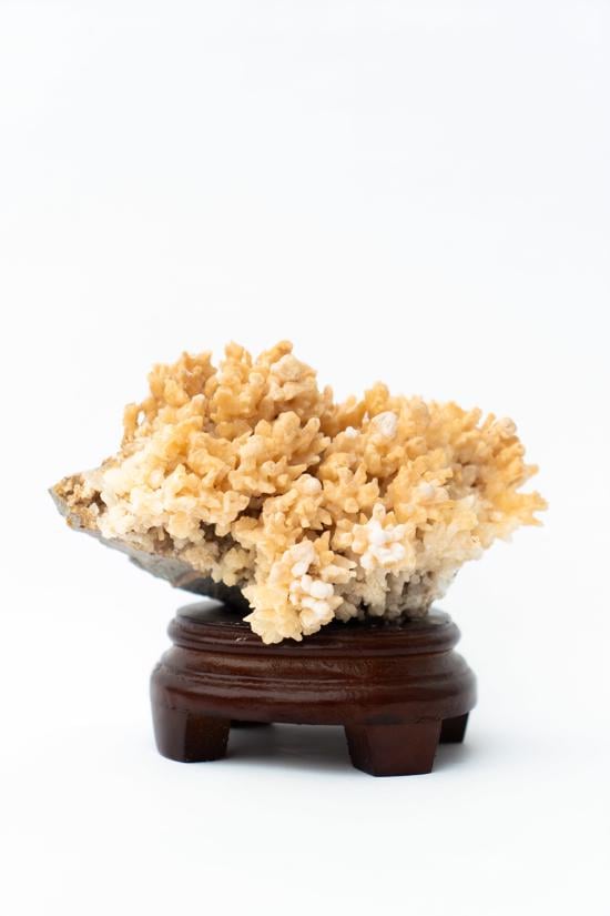 Men genel Arogonit Taş Standlı Büyük