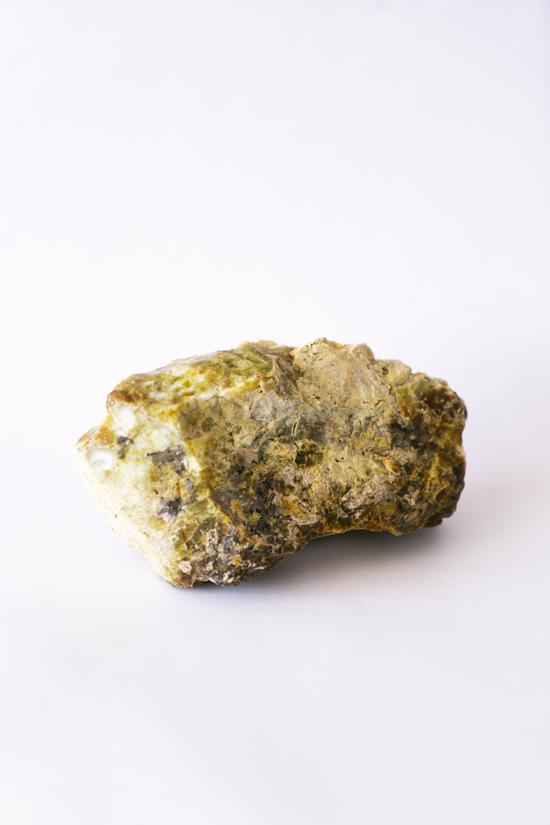 Men genel Taşlaşmış Ağaç No2